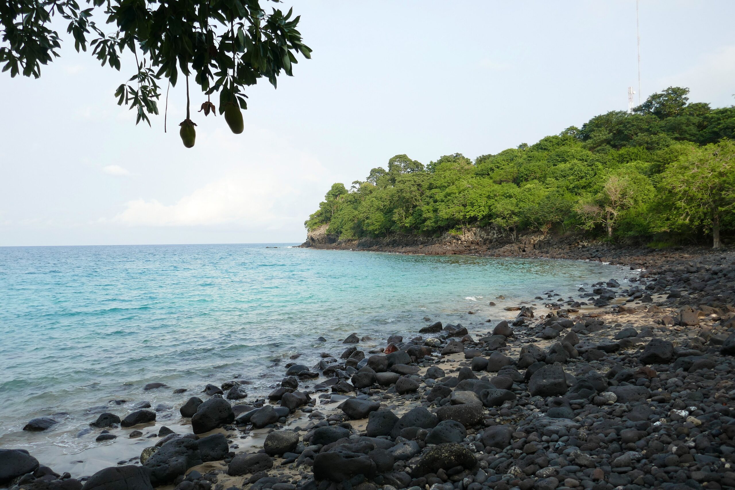 Rocky volcanic shoreline and forested headland at Lagoa Azul
