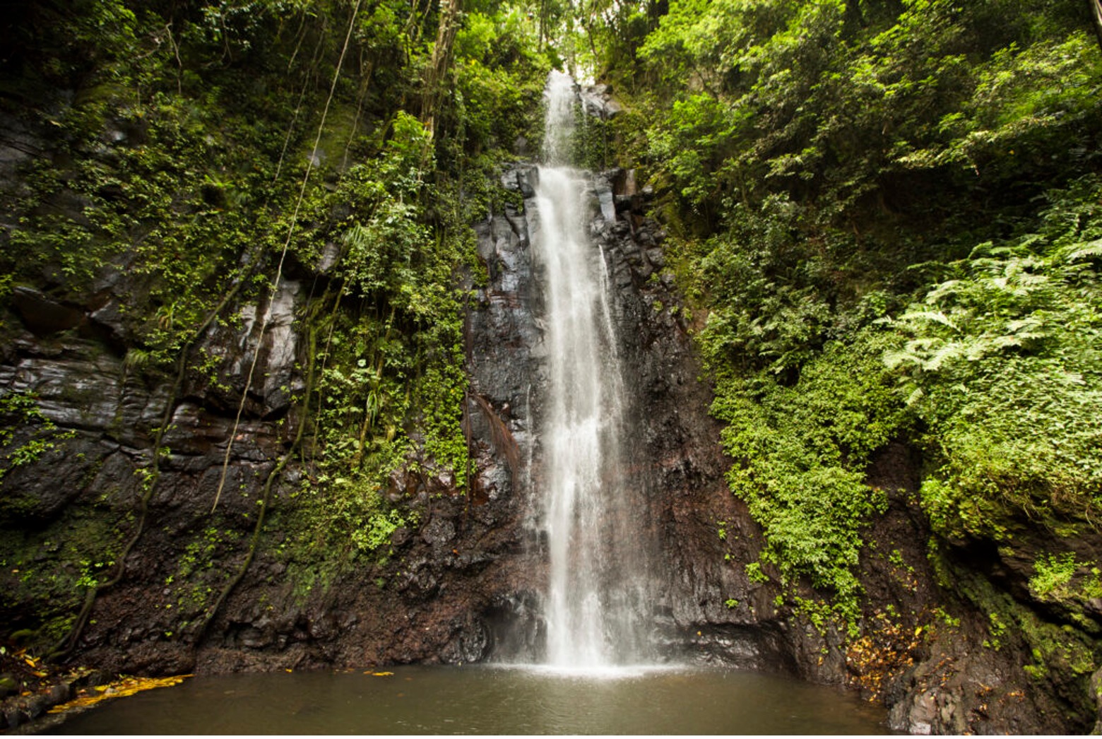 Cascata de São Nicolau, São Tomé's most accessible waterfall, cascading through rainforest