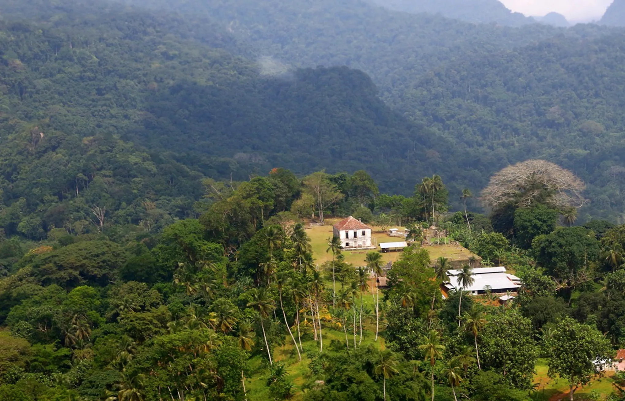 Claudio Corallo chocolate tasting room São Tomé