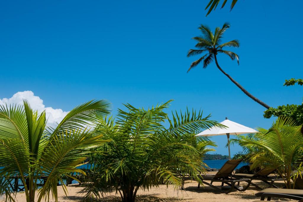 Palm-shaded private beach with loungers at Club Santana, São Tomé