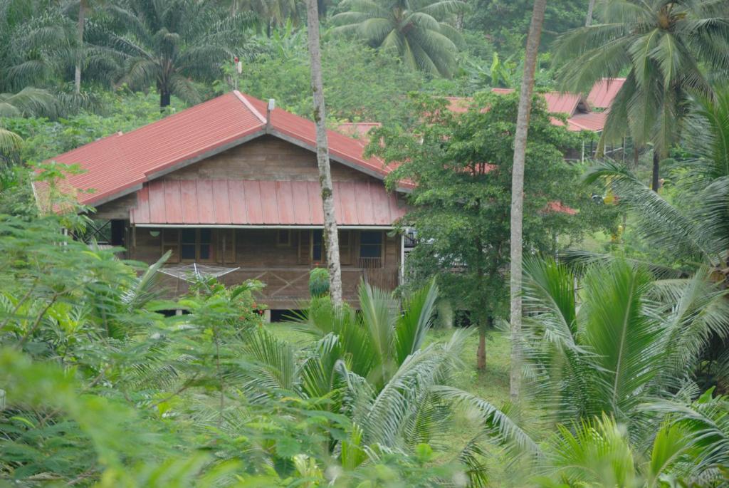 Red-roofed timber lodge building set in the jungle at Praia Inhame Eco Lodge