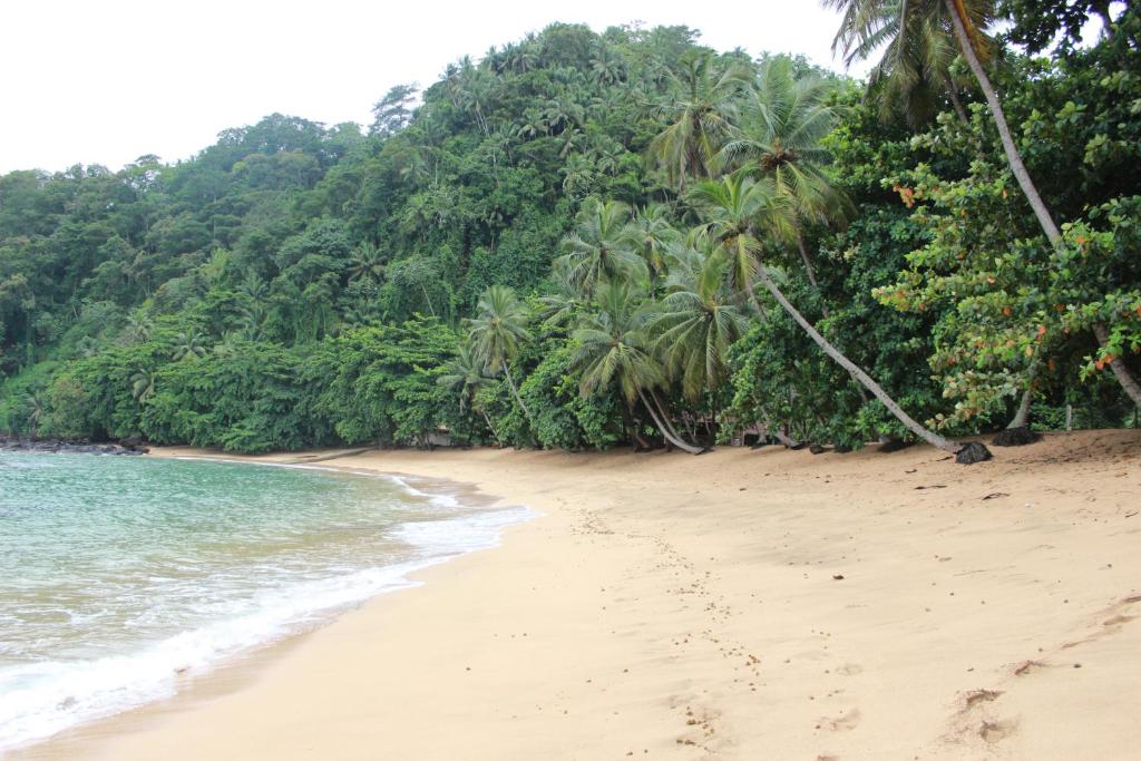 Palm-backed golden beach and forested headland at Praia Inhame