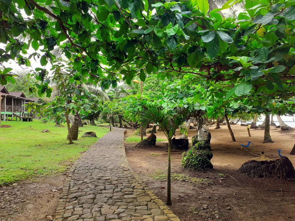 Garden path leading to the beach through the grounds of Praia Inhame Eco Lodge