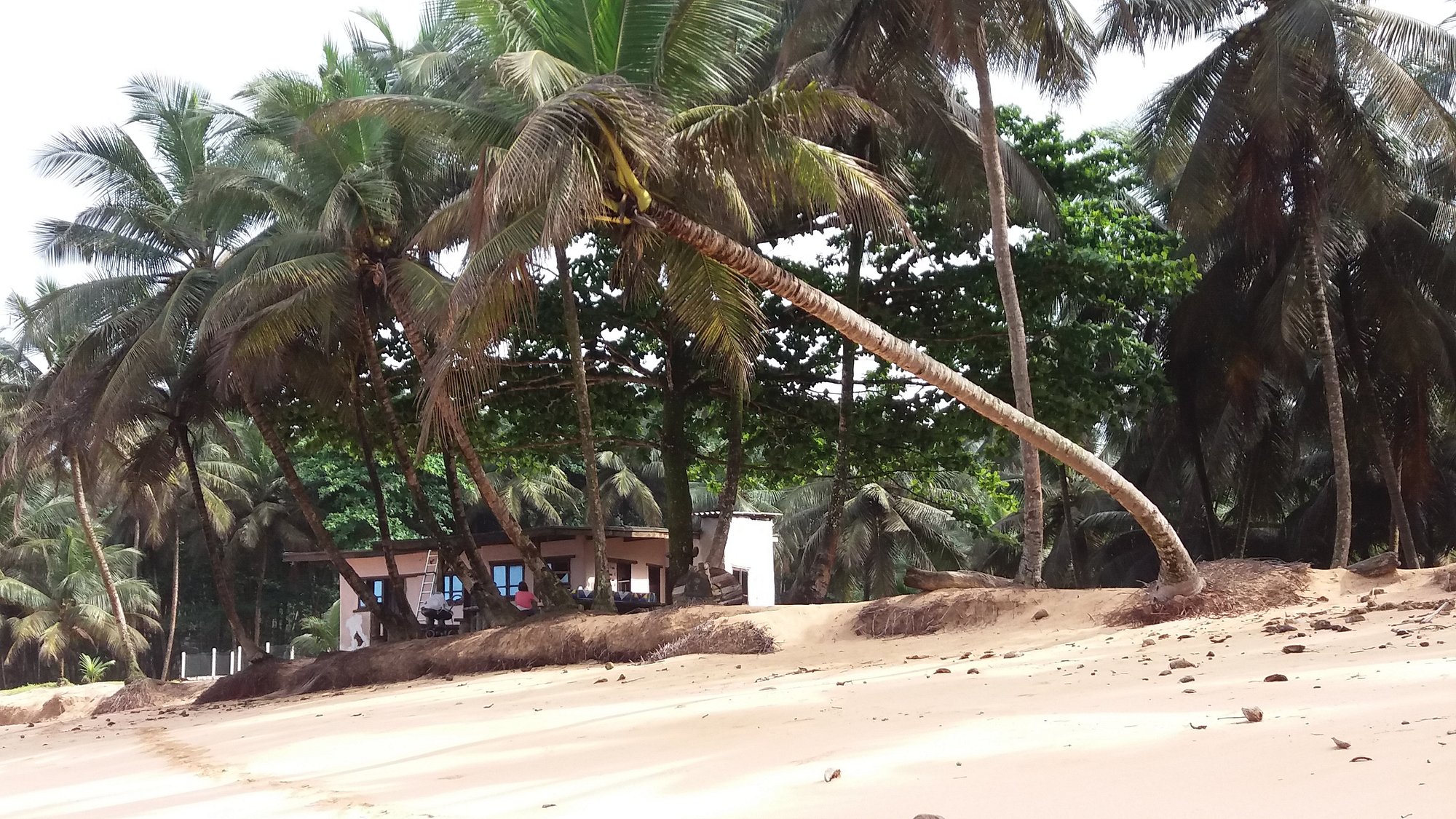 Jalé Ecolodge bungalow set among coconut palms on Praia Jalé beach