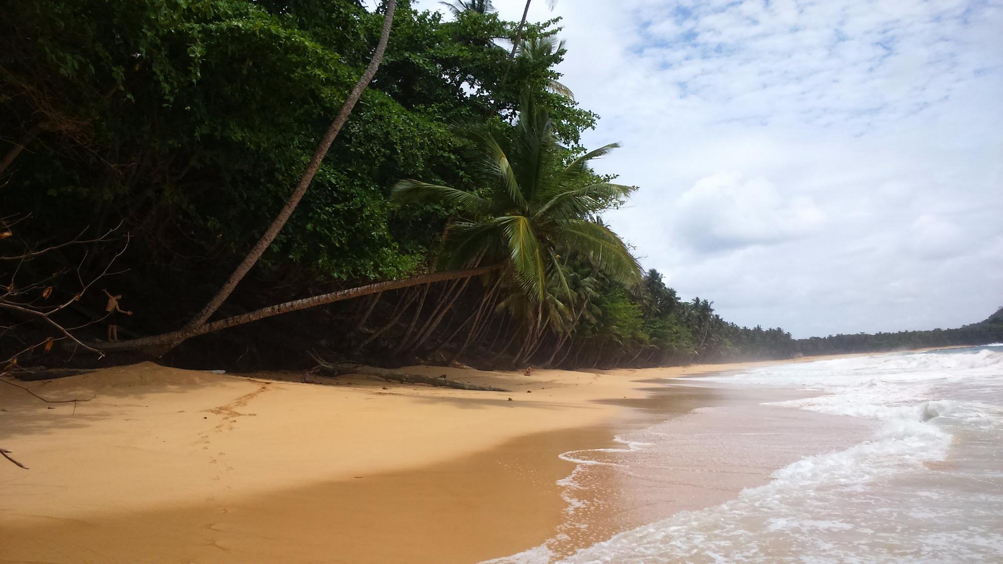 Empty palm-fringed beach at Praia Jalé on São Tomé’s southern tip