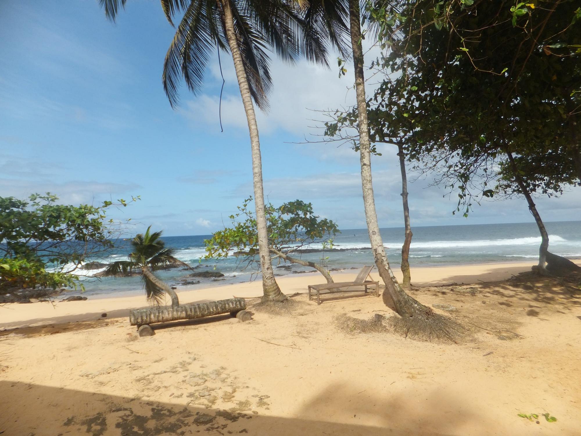Sun lounger and driftwood bench under palms on the beach at Jalé Ecolodge