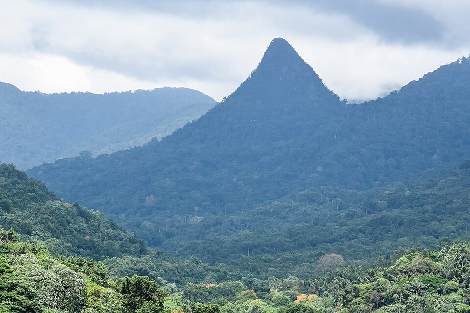 A forested volcanic peak rising from the rainforest of Obô National Park
