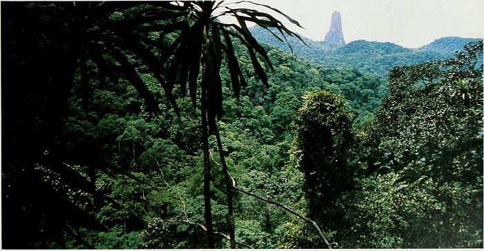 Pico Cão Grande rising above the rainforest canopy of Obô National Park