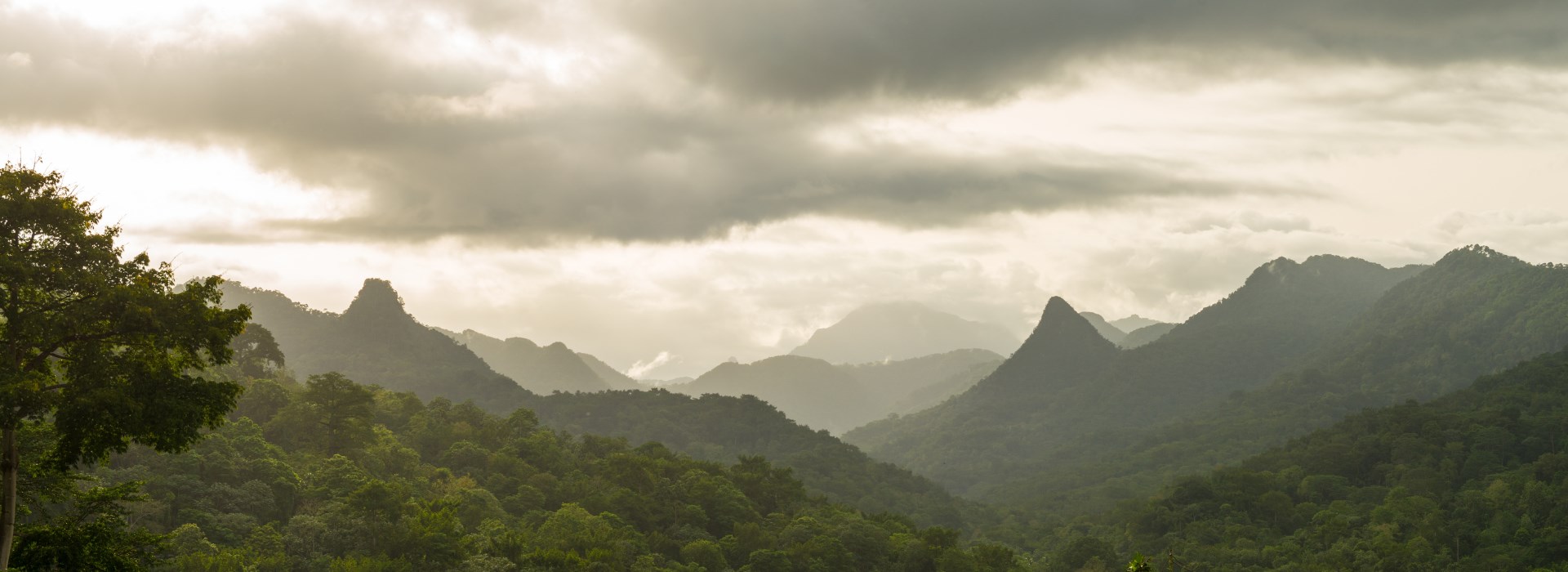 Obô National Park rainforest in São Tomé