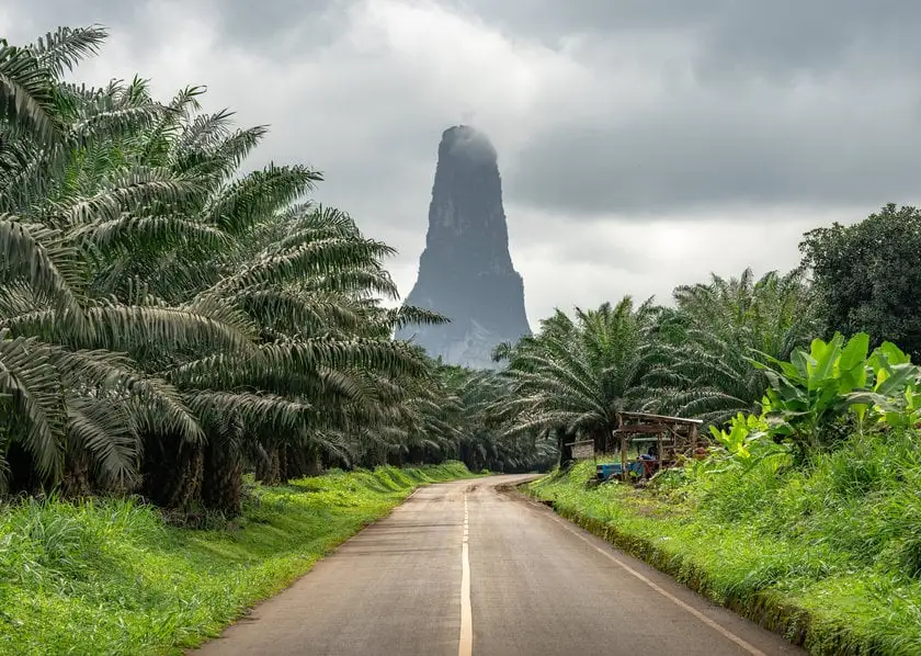 Pico Cão Grande rising beyond a palm-lined road in São Tomé