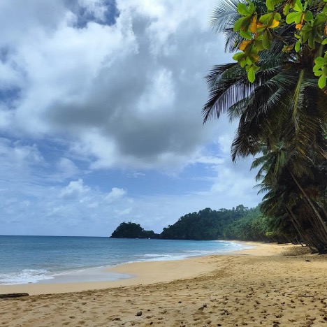 Coconut palm grove lining Praia Jalé turquoise lagoon, southern São Tomé