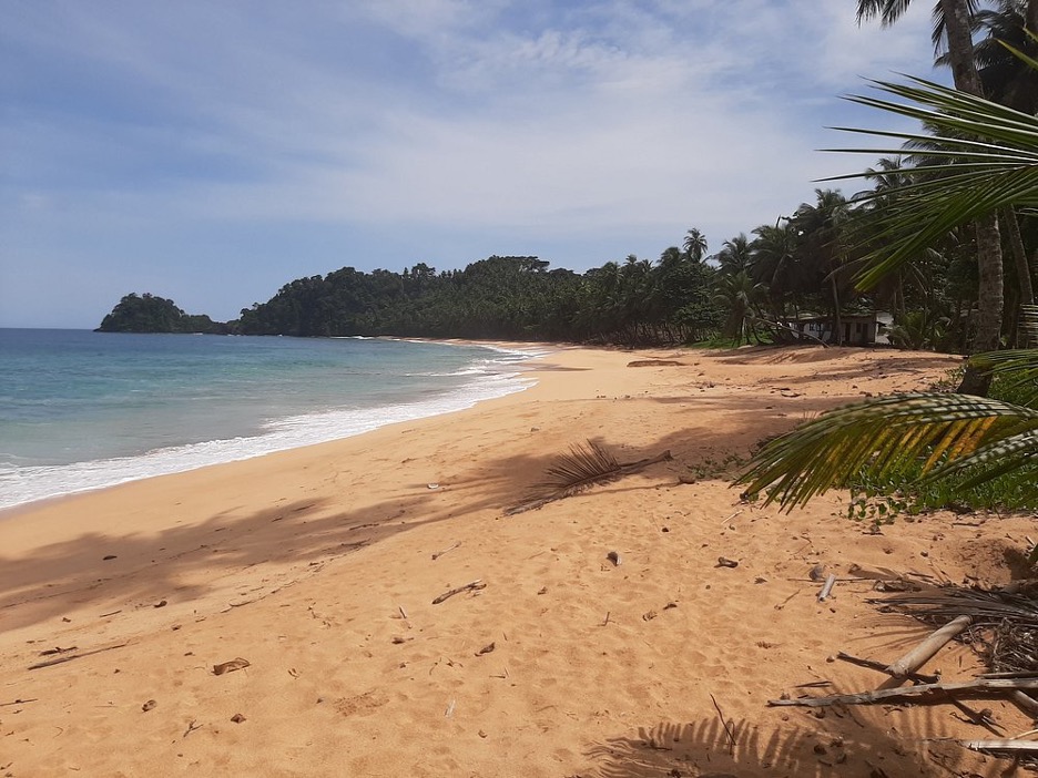 Palm and surf rocks at Praia Jalé in evening light, southern São Tomé