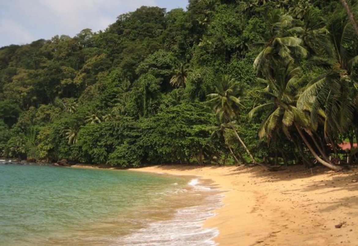 Coconut grove behind Praia Inhame beach