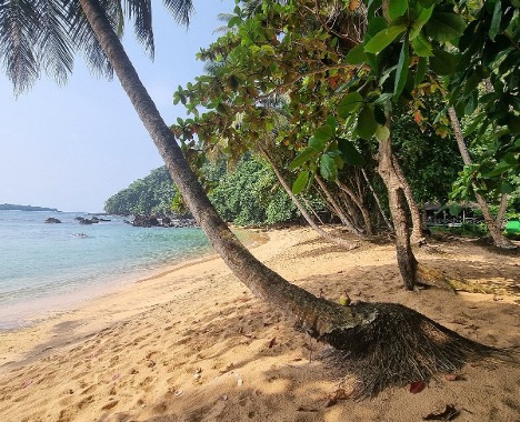 Surf at dawn Praia Inhame São Tomé south coast
