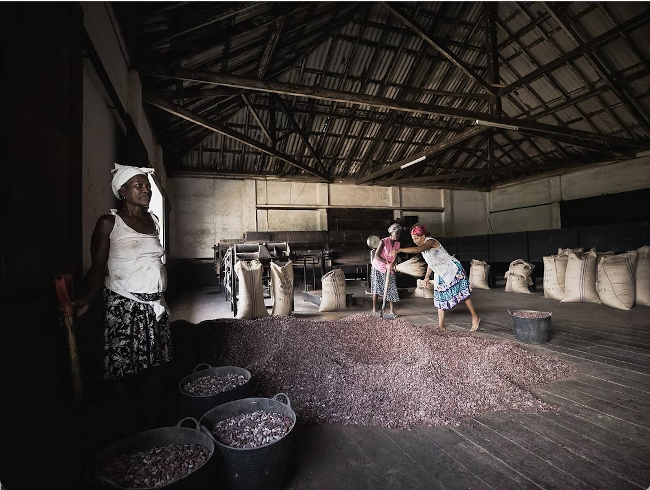 Workers turning and drying cacao beans inside the Roca Diogo Vaz processing house